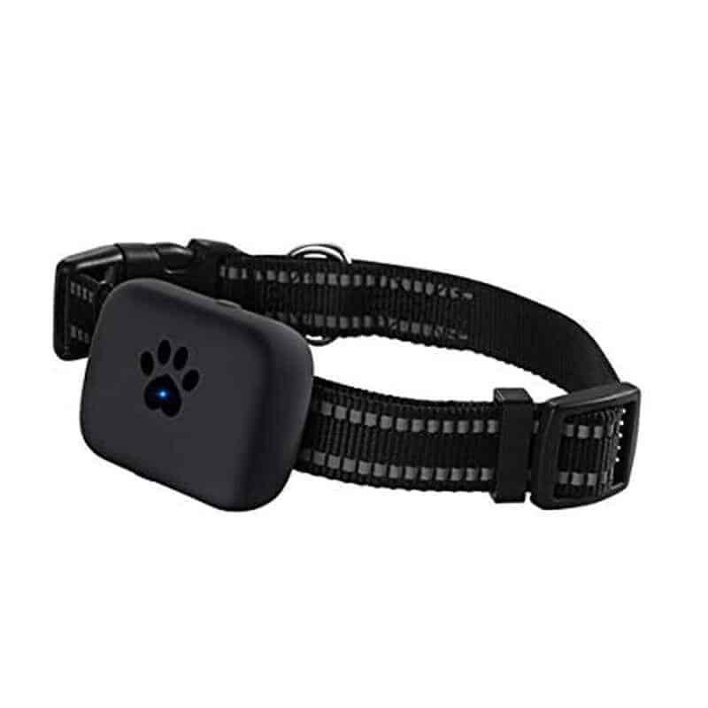 Pet GPS tracker Collar black
