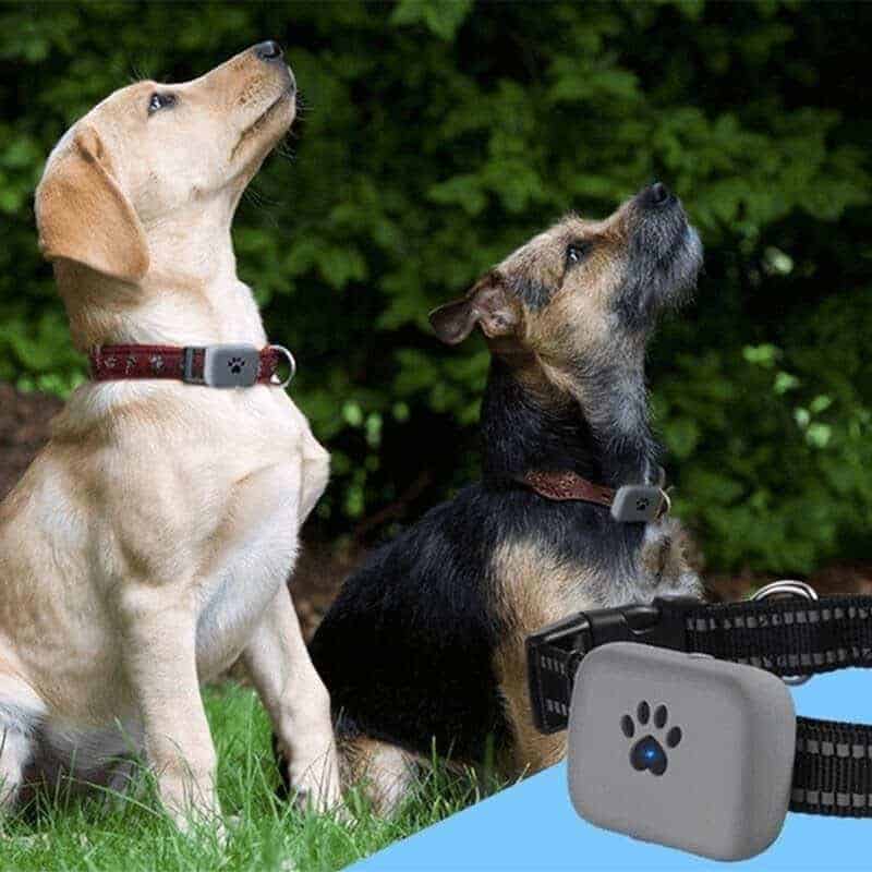 Pet GPS tracker Collar 3