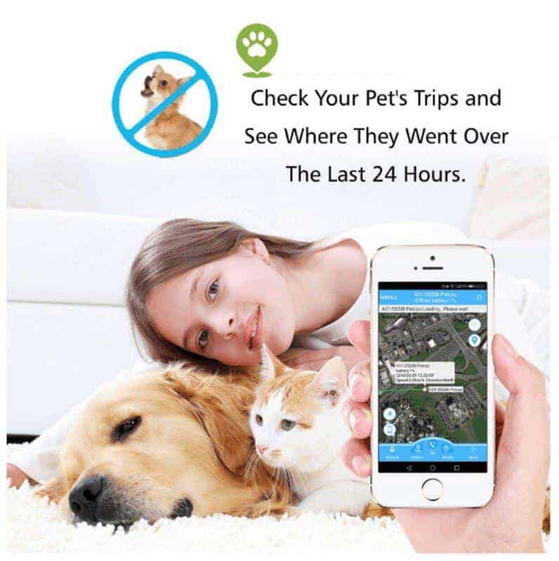 Pet GPS tracker Collar 4 1